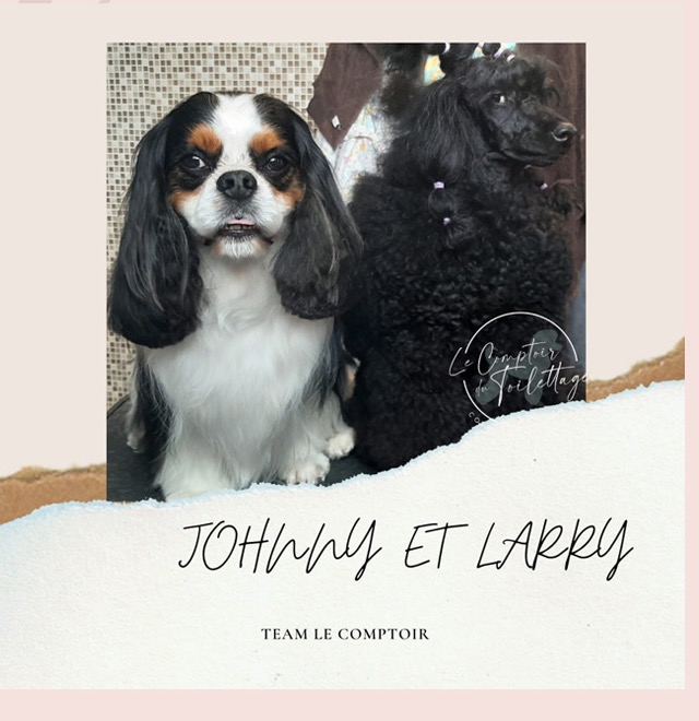 Johnny et Larry, deux habitués du Comptoir